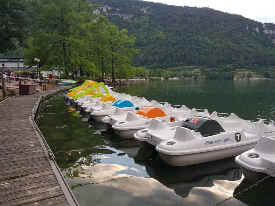 Joli Appartement En Face De Lac Nantua Exterior photo