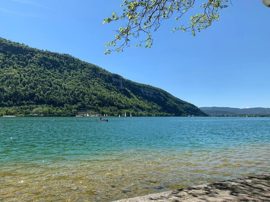 Joli Appartement En Face De Lac Nantua Exterior photo