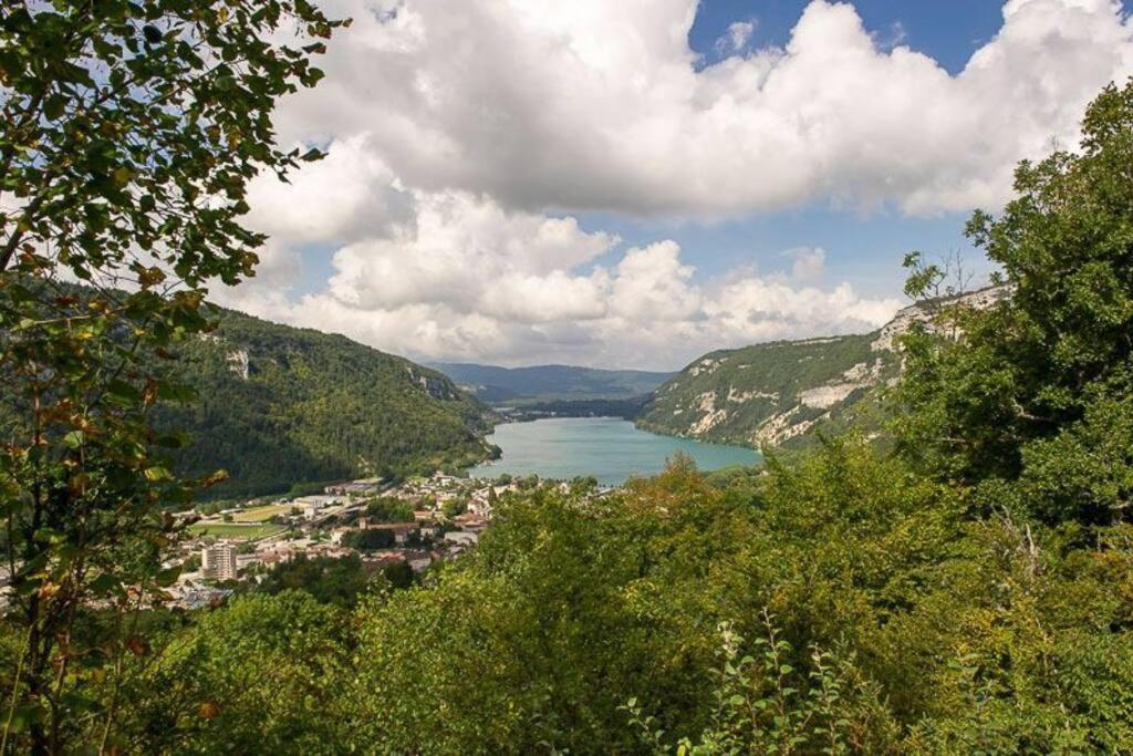 Joli Appartement En Face De Lac Nantua Exterior photo